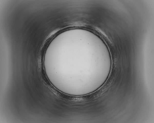 X0000113041315200909171513