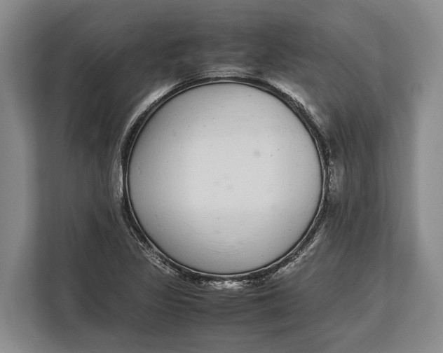 X0000113041317200909171513