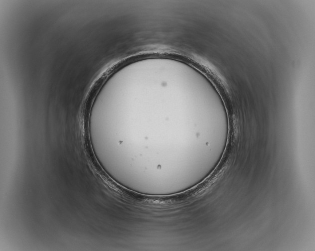 X0000113041318200909171513