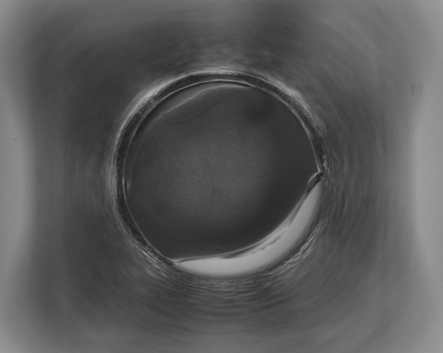 X0000113041319200909171513