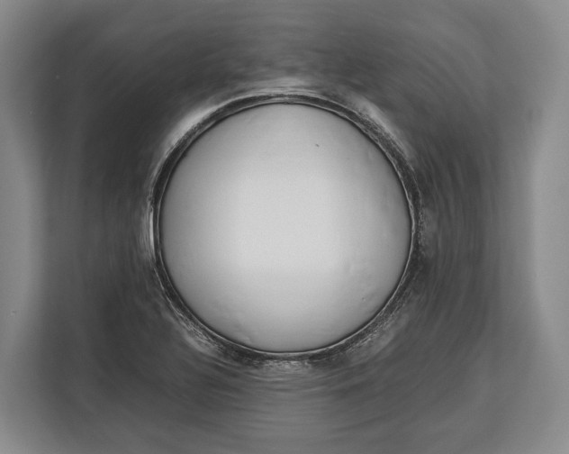 X0000113041320200909171513