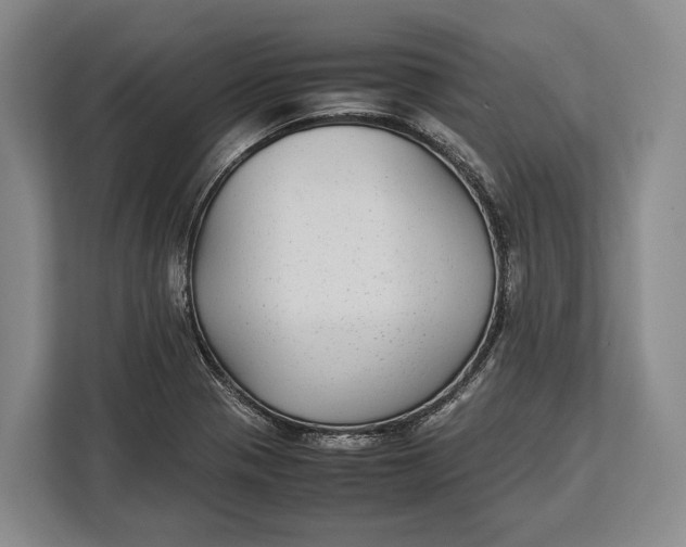 X0000113041321200909171513