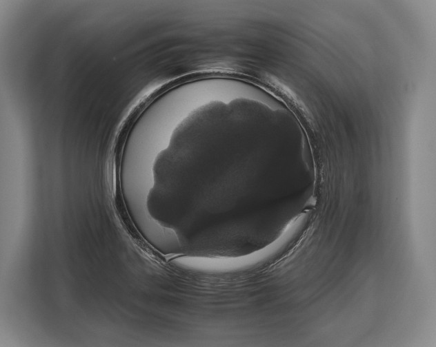 X0000113041323200909171513