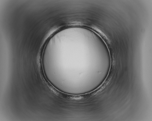 X0000113041325200909171513