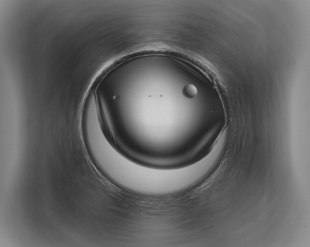 X0000113041326200909171513