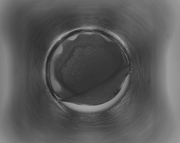 X0000113041327200909171513
