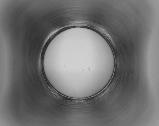 X0000113041328200909171513