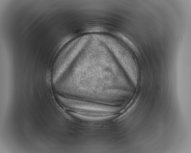 X0000113041329200909171513