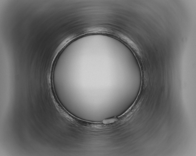 X0000113041330200909171513