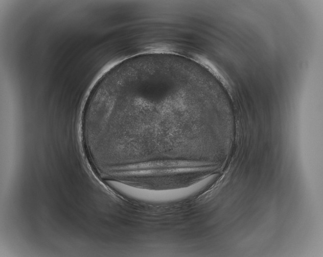 X0000113041331200909171513