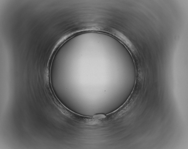 X0000113041332200909171513