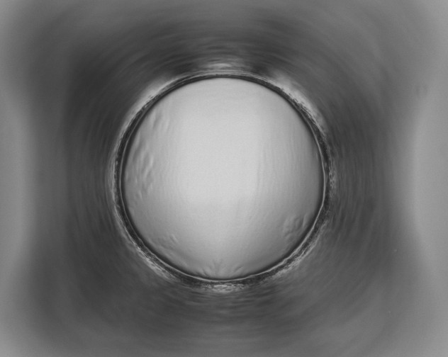 X0000113041333200909171513