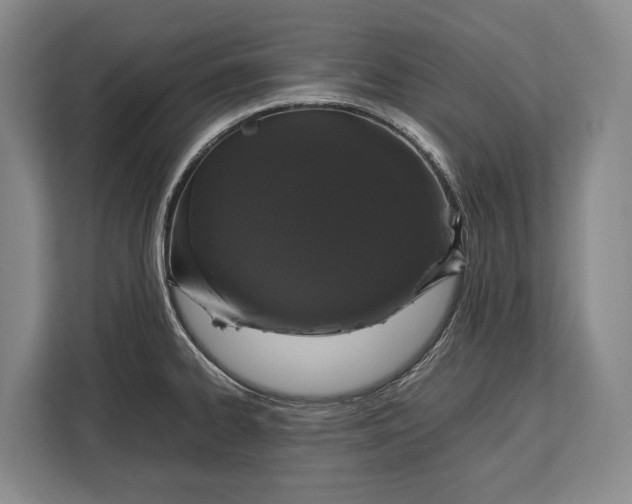 X0000113041334200909171513