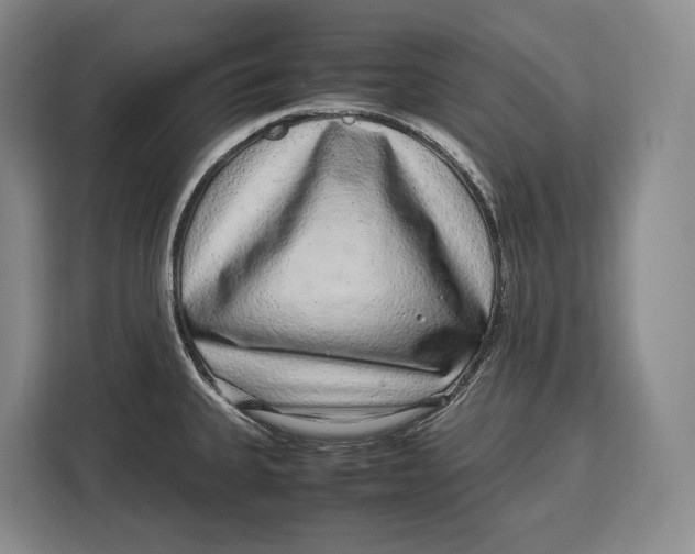 X0000113041335200909171513