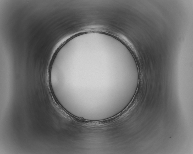 X0000113041336200909171513