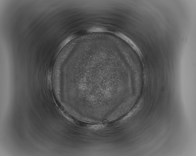 X0000113041337200909171513