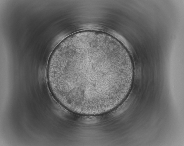 X0000113041338200909171513
