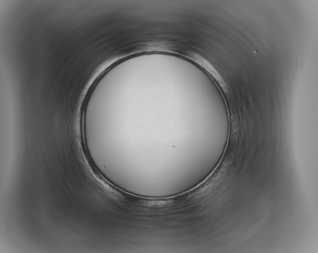 X0000113041339200909171513