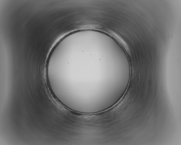 X0000113041340200909171513
