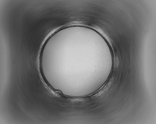 X0000113041341200909171513
