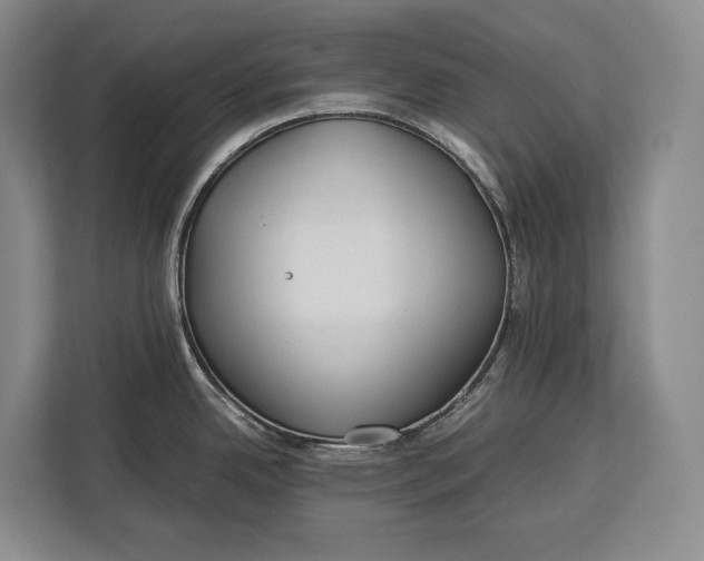 X0000113041342200909171513
