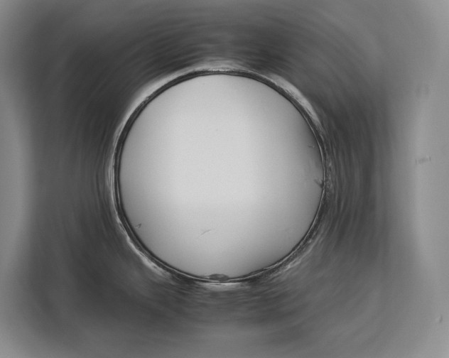 X0000113041343200909171513