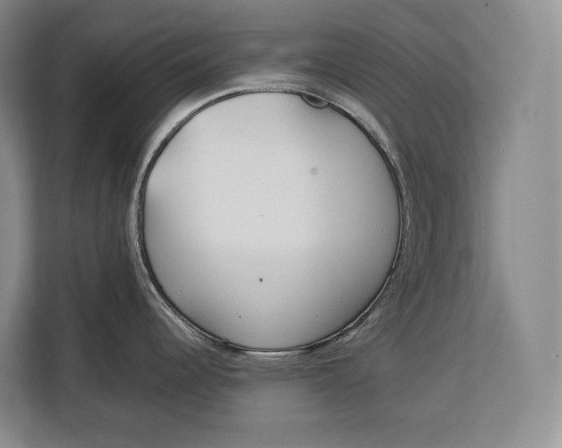 X0000113041344200909171513