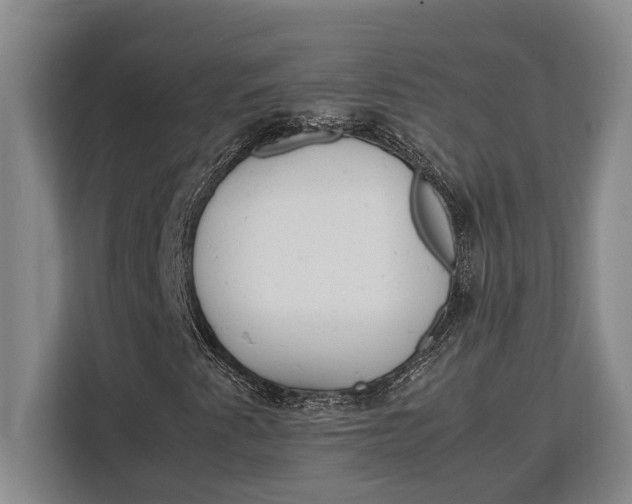 X0000113041345200909171513