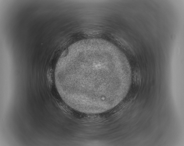 X0000113041346200909171513