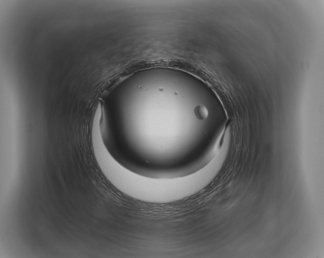 X0000113041348200909171513