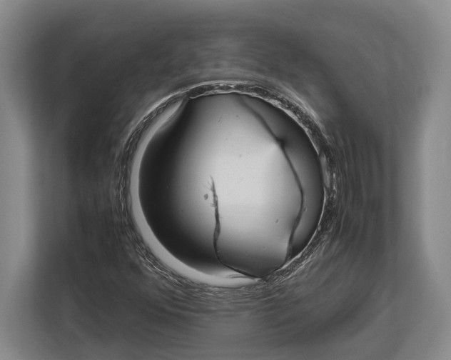 X0000113041352200909171513