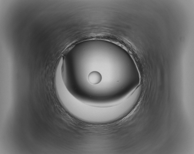 X0000113041353200909171513