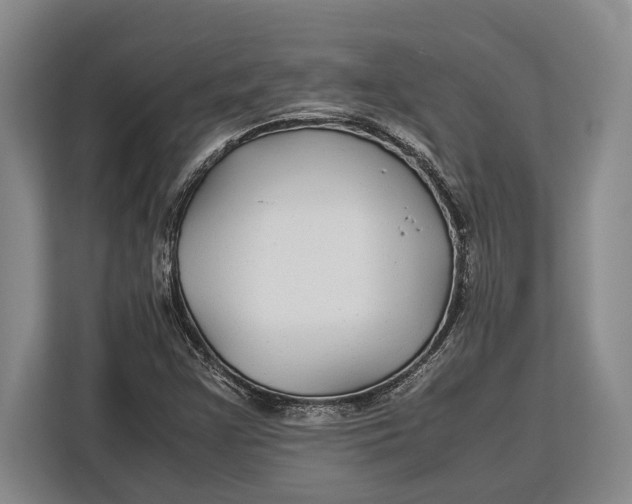 X0000113041355200909171513