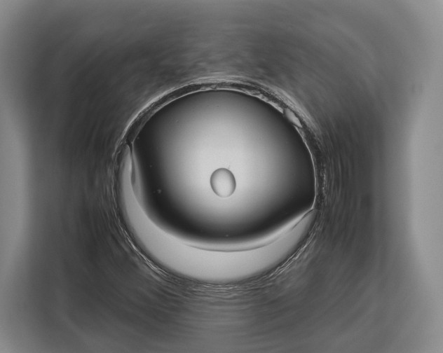 X0000113041356200909171513