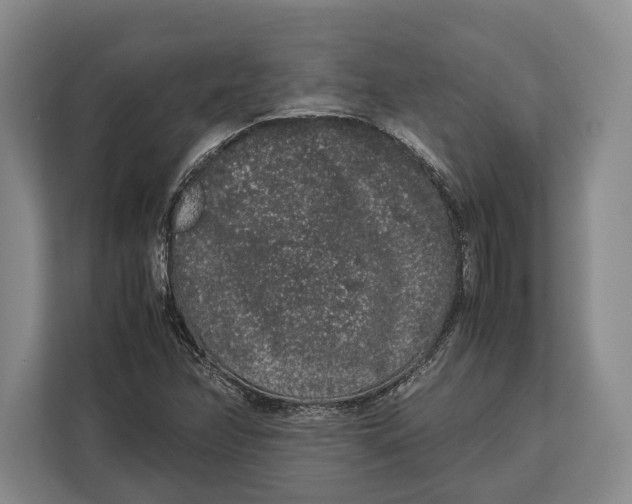 X0000113041358200909171512