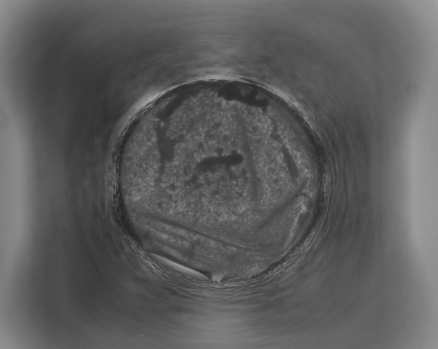 X0000113041359200909171512
