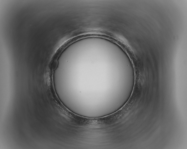 X0000113041360200909171512
