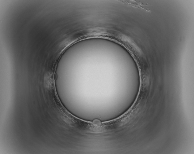 X0000113041361200909171512