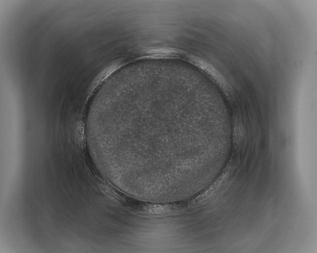 X0000113041362200909171512