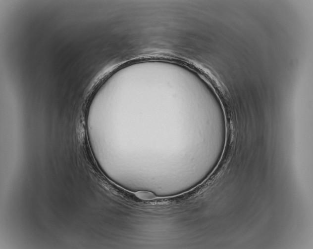 X0000113041363200909171512