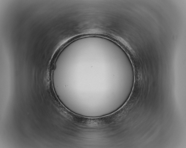 X0000113041364200909171512