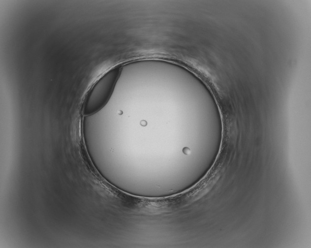 X0000113041365200909171512