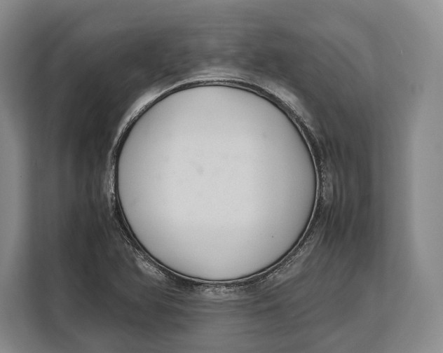 X0000113041366200909171512