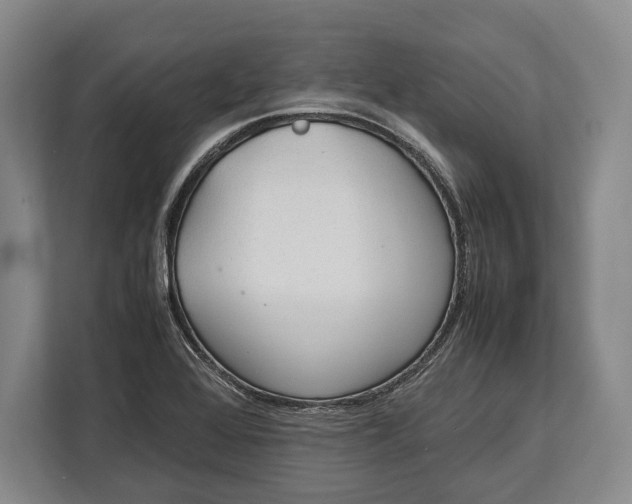 X0000113041368200909171512