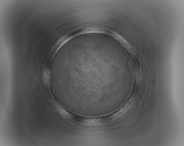 X0000113041369200909171512