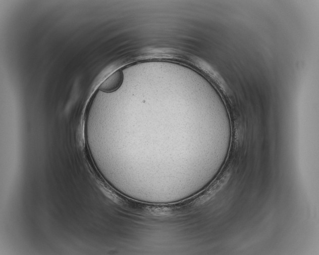 X0000113041370200909171512