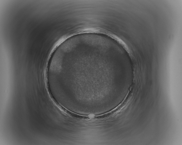 X0000113041373200909171512