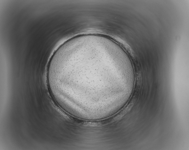 X0000113041374200909171512