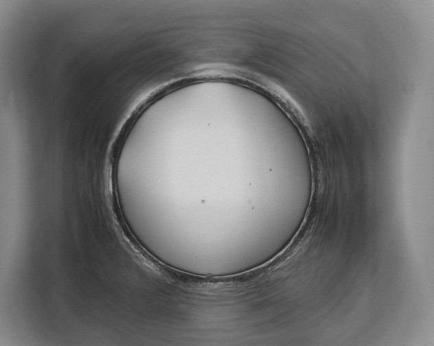 X0000113041376200909171512