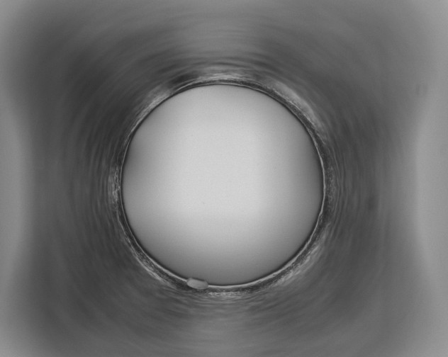 X0000113041377200909171512